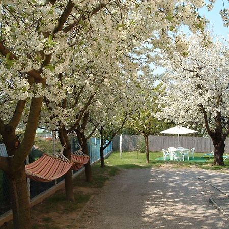 Apartman Heviz Holiday Buitenkant foto