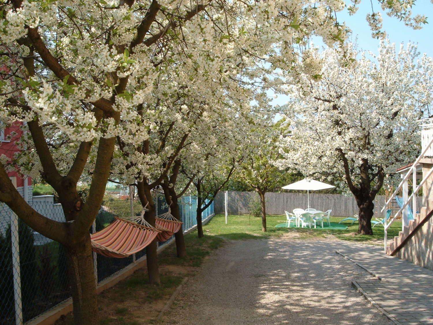 Apartman Heviz Holiday Buitenkant foto
